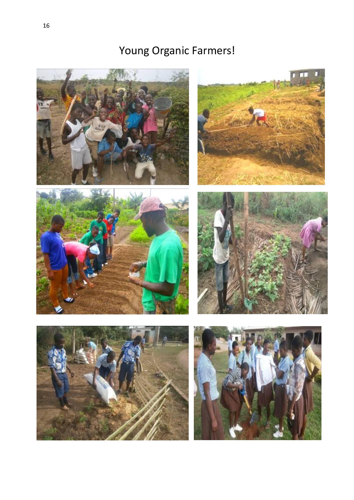 gen-ghana-youth-p-l-a-n-t-moringa-school-garden-manual-page-016