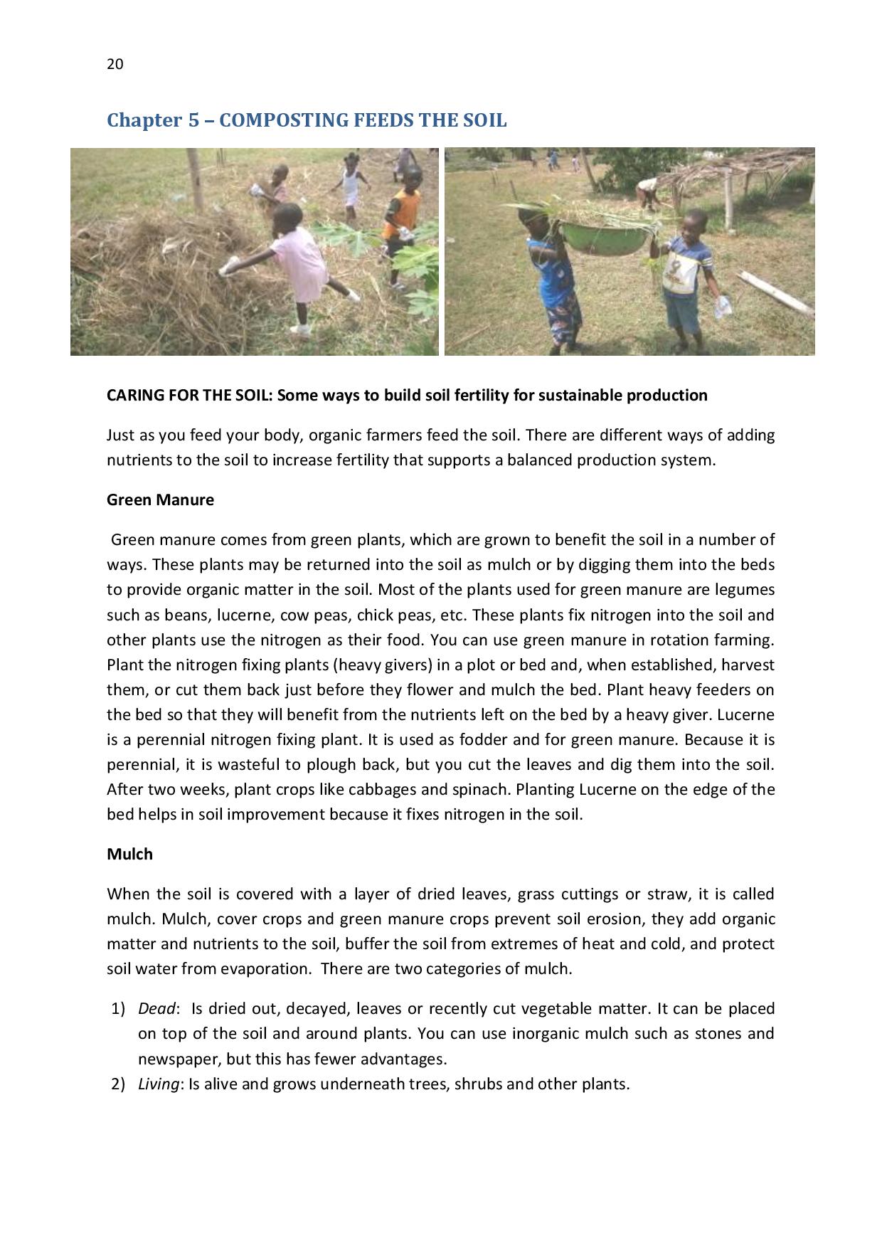 gen-ghana-youth-p-l-a-n-t-moringa-school-garden-manual-page-020