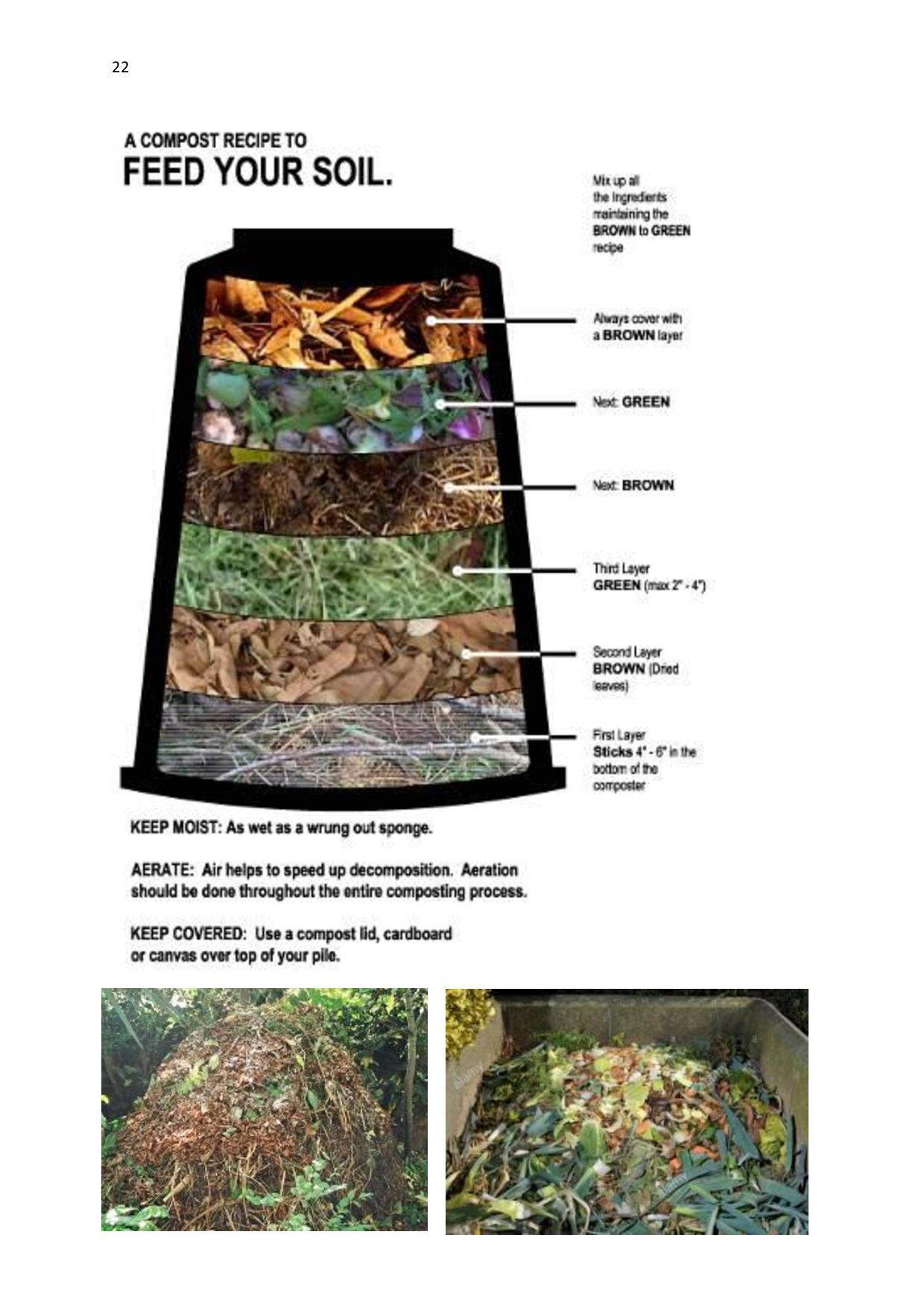 gen-ghana-youth-p-l-a-n-t-moringa-school-garden-manual-page-022