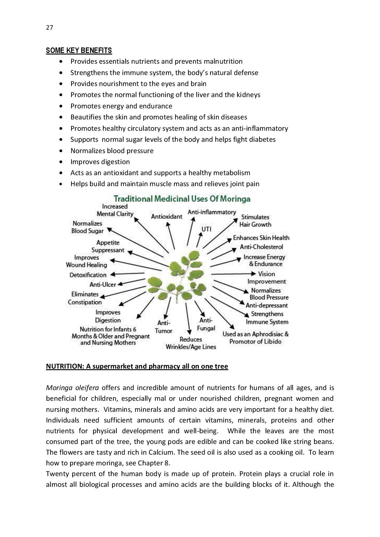 gen-ghana-youth-p-l-a-n-t-moringa-school-garden-manual-page-027