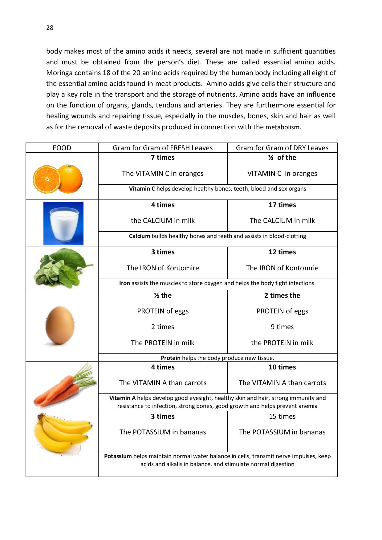 gen-ghana-youth-p-l-a-n-t-moringa-school-garden-manual-page-028