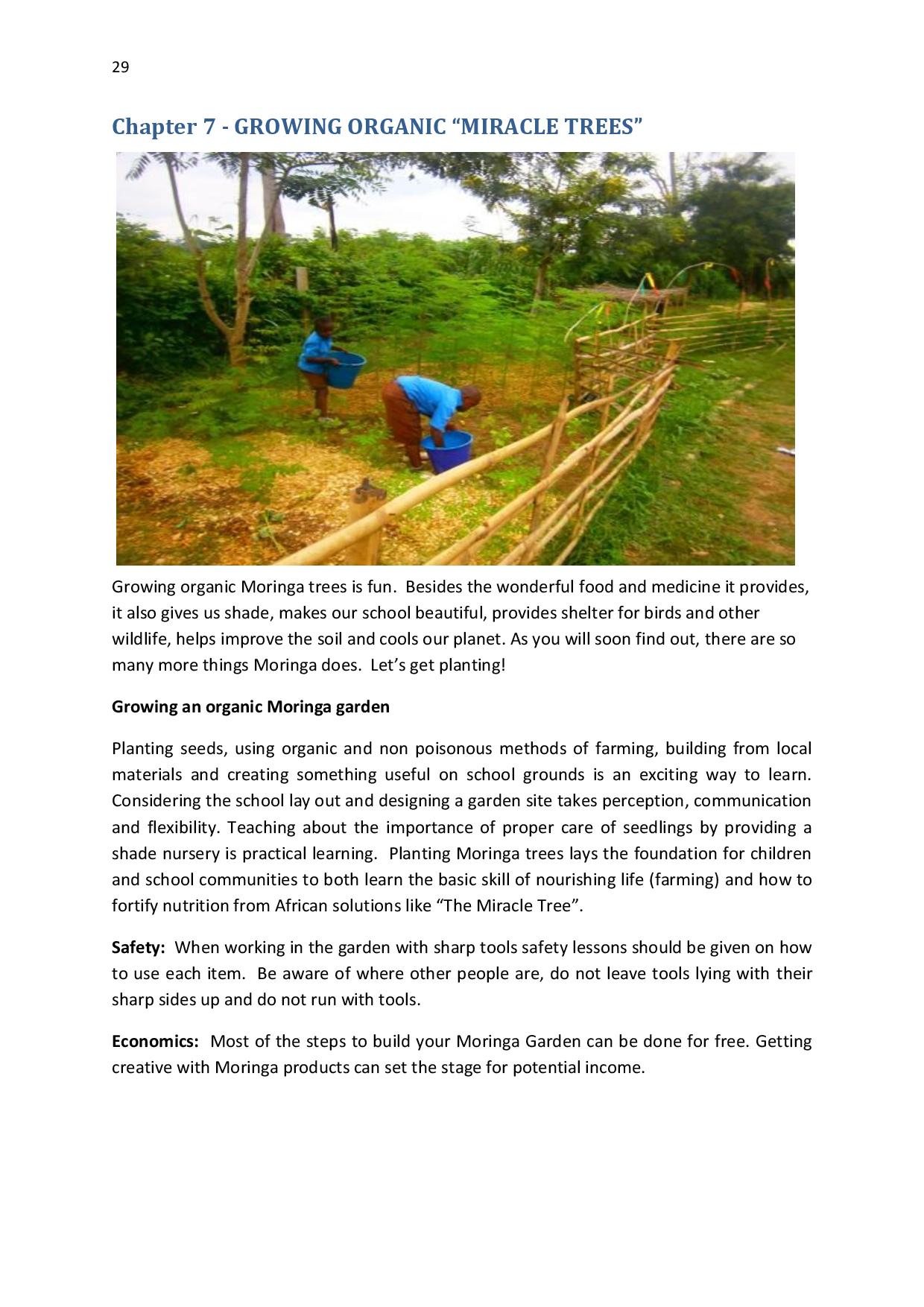 gen-ghana-youth-p-l-a-n-t-moringa-school-garden-manual-page-029