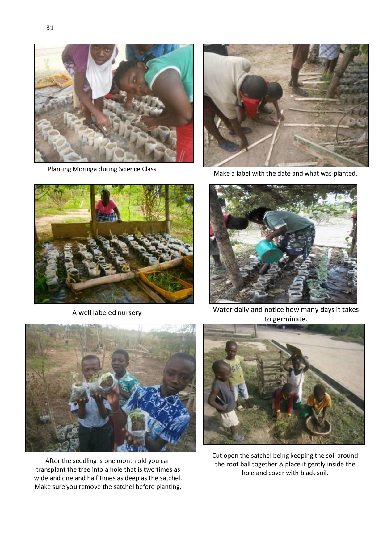 gen-ghana-youth-p-l-a-n-t-moringa-school-garden-manual-page-031