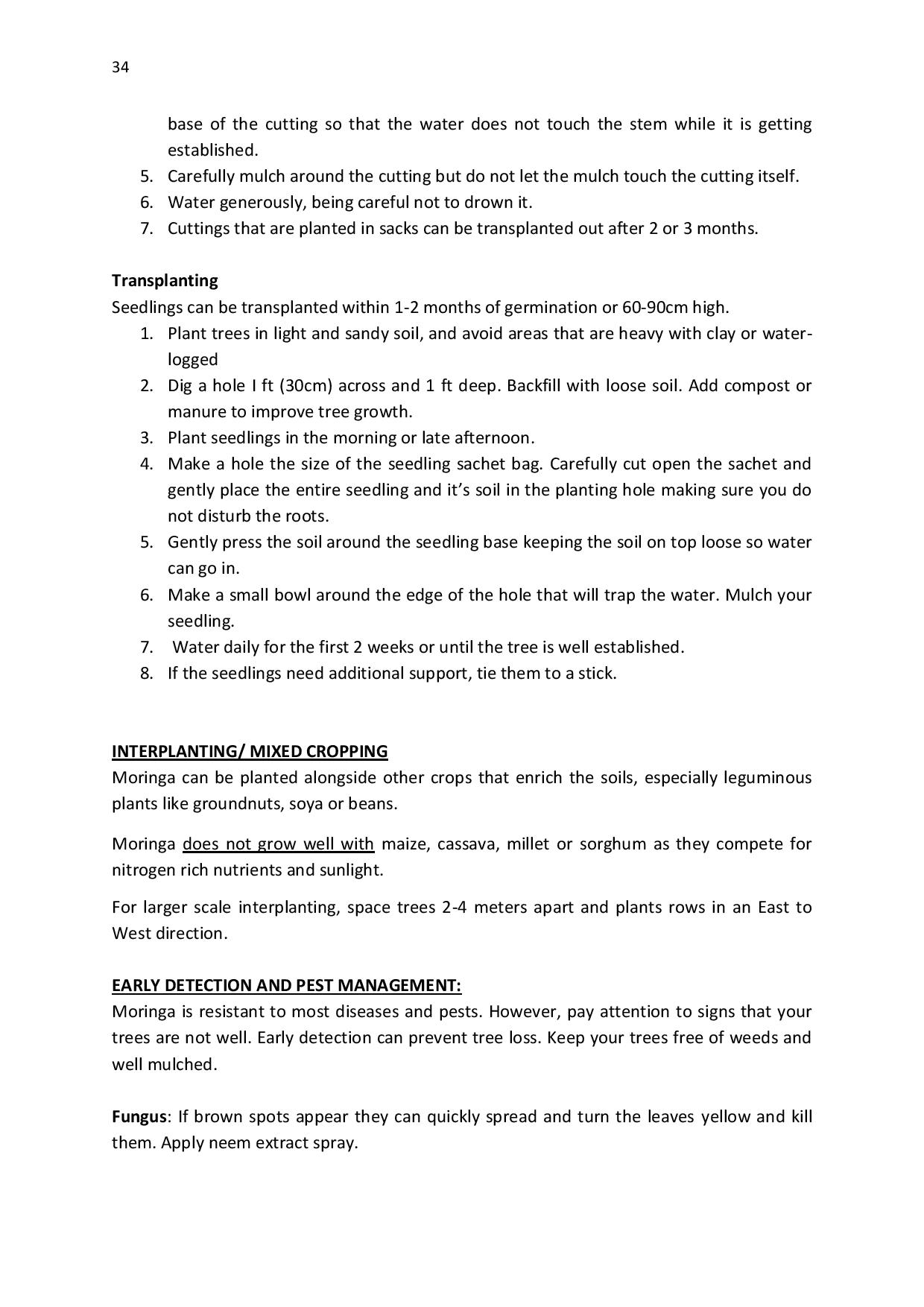 gen-ghana-youth-p-l-a-n-t-moringa-school-garden-manual-page-034