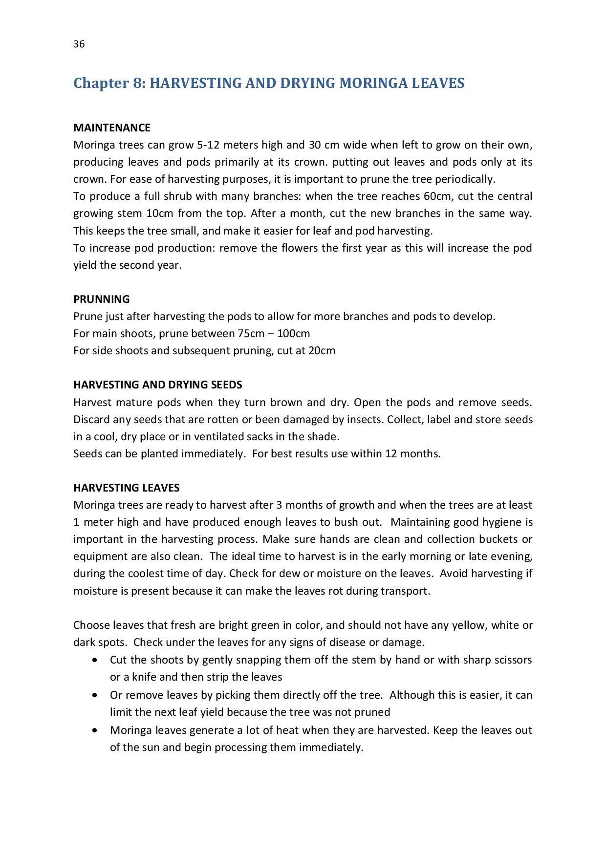 gen-ghana-youth-p-l-a-n-t-moringa-school-garden-manual-page-036