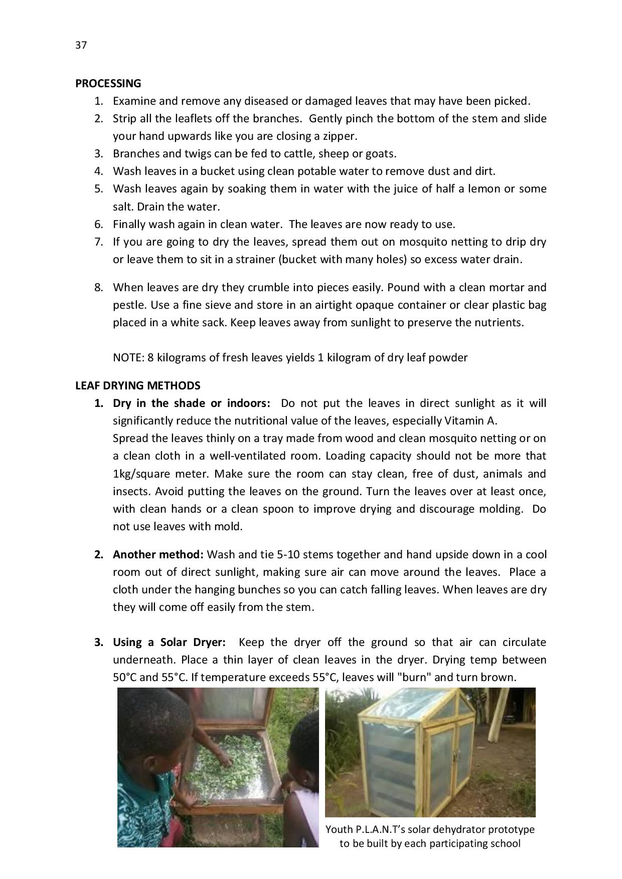gen-ghana-youth-p-l-a-n-t-moringa-school-garden-manual-page-037