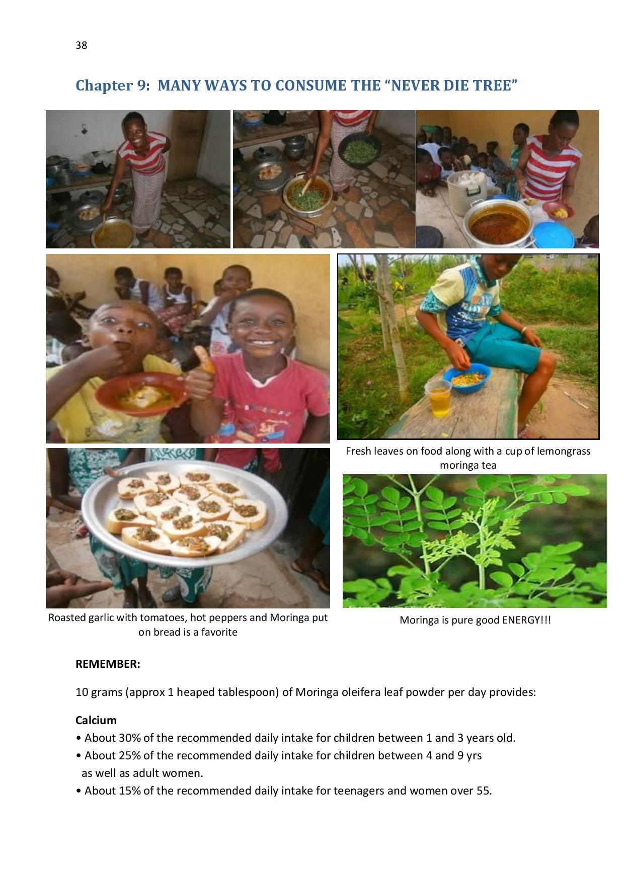 gen-ghana-youth-p-l-a-n-t-moringa-school-garden-manual-page-038