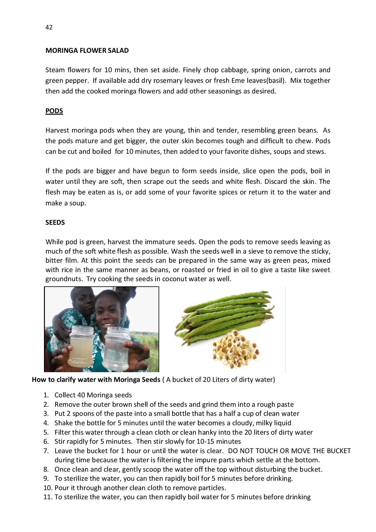 gen-ghana-youth-p-l-a-n-t-moringa-school-garden-manual-page-042